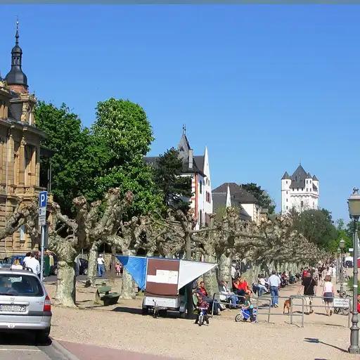 Eltville Betriebsauflösung - Die Muskel Helden Entrümpelung