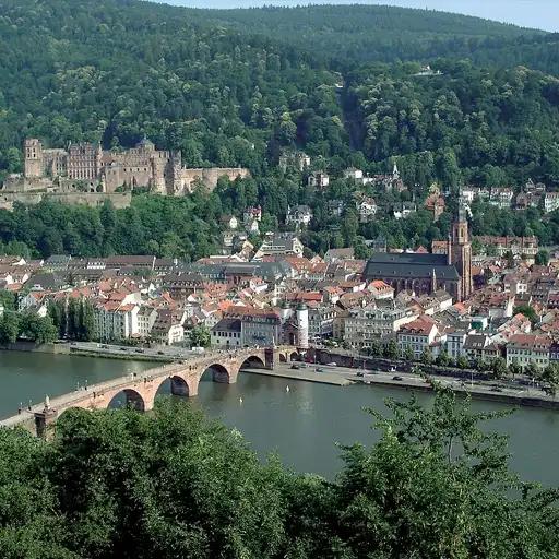 Heidelberg Betriebsauflösung - Die Muskel Helden Entrümpelung